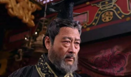 王莽电视剧,权谋与理想交织的乱世传奇