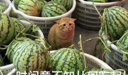 最新河北吃瓜视频爆料